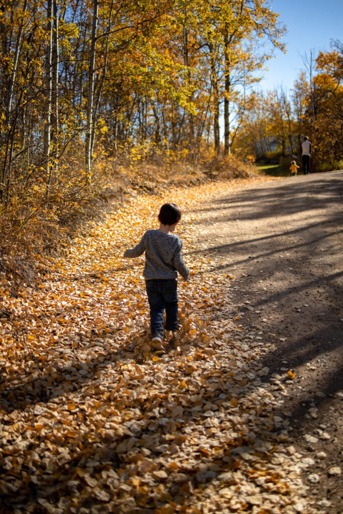 Small child walking down a leaf-covered path in the woods, golden sunlight streaming through the trees. A beautiful example of natural fall family photography ideas.