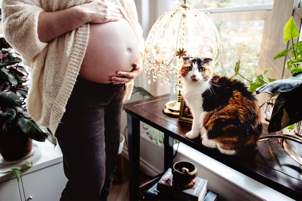 Pregnant mother stands beside her cat and glowing lamp during a cozy maternity session, capturing simple everyday beauty.