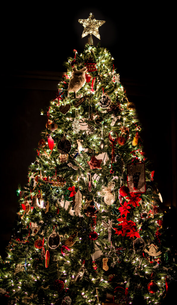 Beautifully decorated Christmas tree with star topper and warm lights, photographed for festive Christmas photos Edmonton.