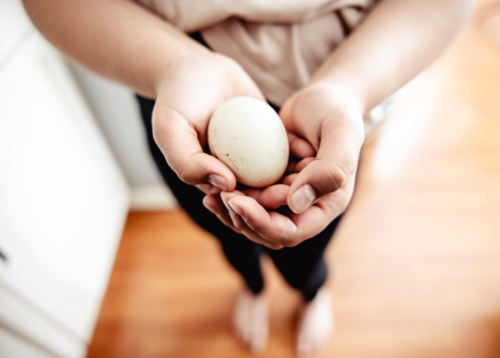 Close-up of a duck egg cradled in small hands during a home incubation project
