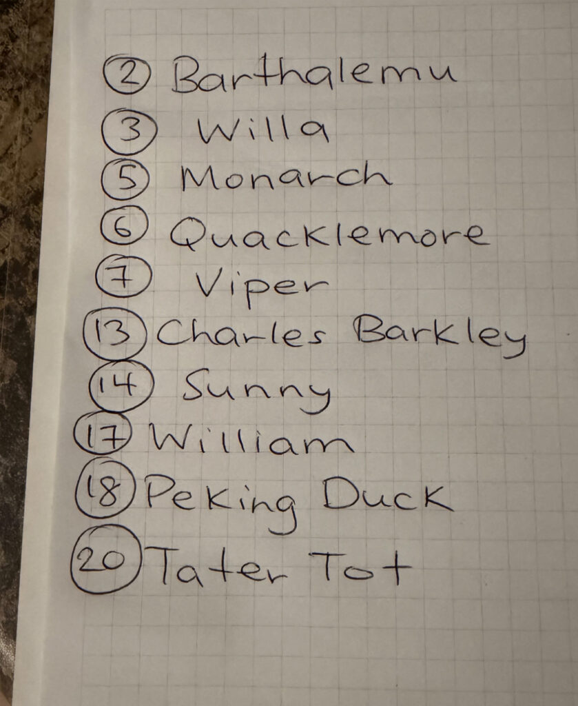 The final list of our surviving eggs, including Quacklemore, William, Sunny, Monarch, and Harry Kane.